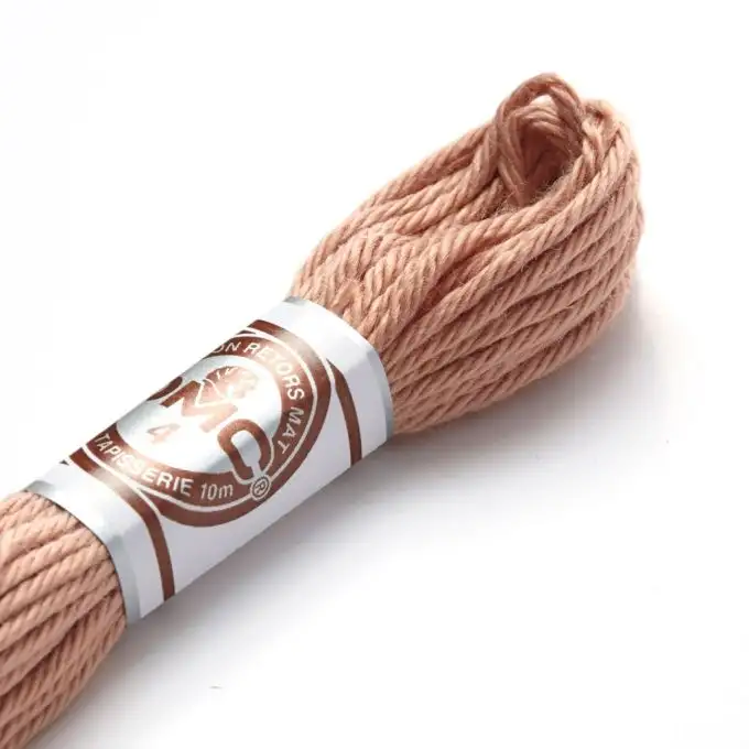 Filato ritorto opaco da ricamo 12 capi 10m colore 2407 - colore 2407
