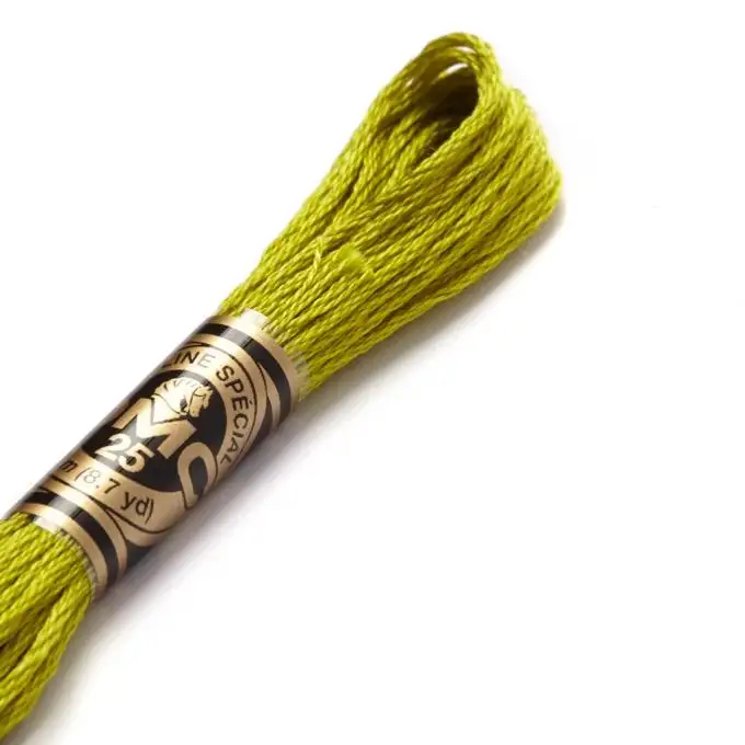 Filo mouliné da ricamo - Toni verdi - COL 166