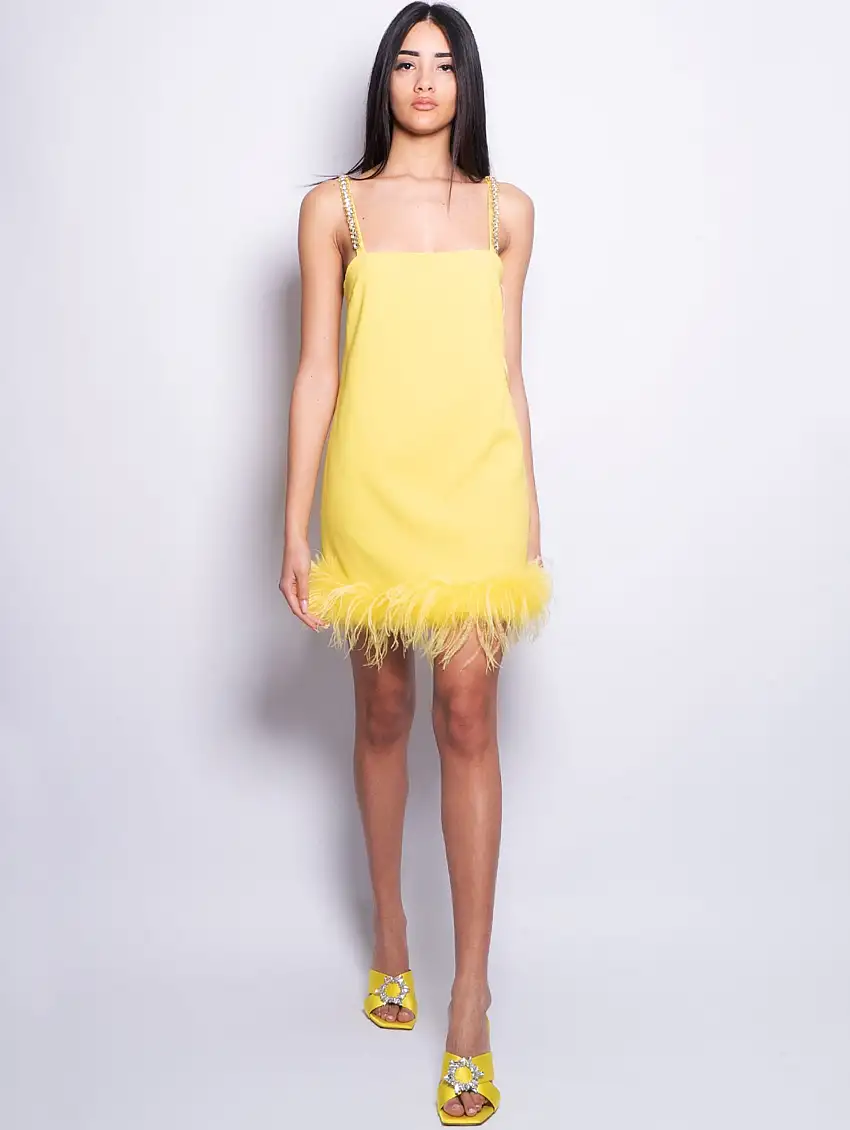 Abito Corto con Piume e Pietre Giallo