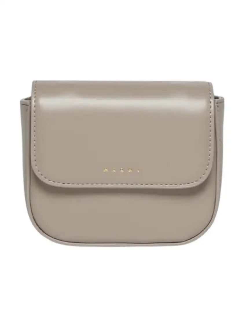 MARNI Women's Bag M01609 M00TK 0M918 GRAY SAGE