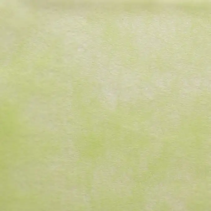 Tessuto non tessuto anice