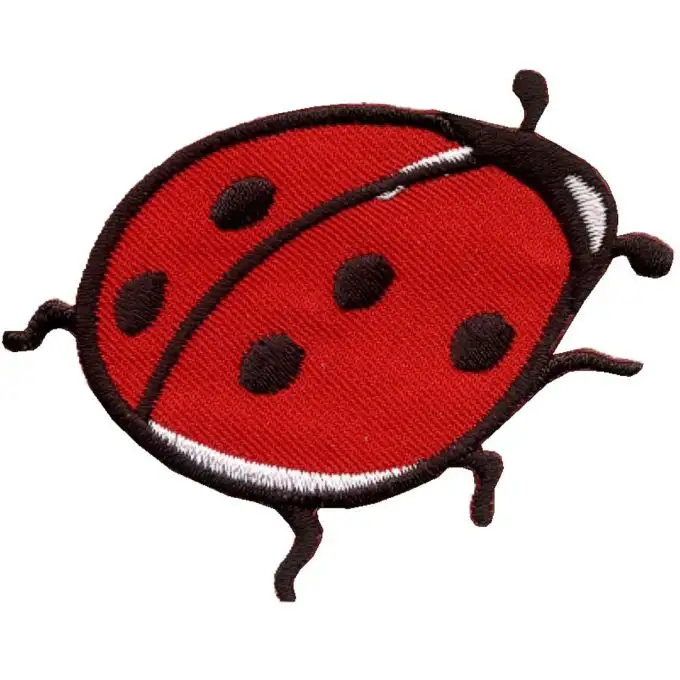 Distintivo coccinella rossa