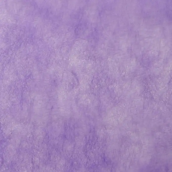 Tessuto non tessuto lilla