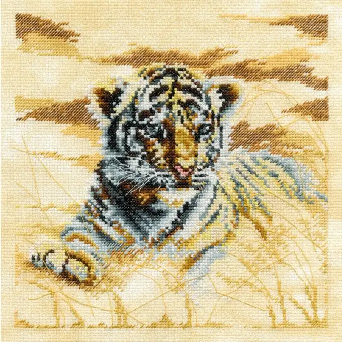 Kit di ricamo leoncino