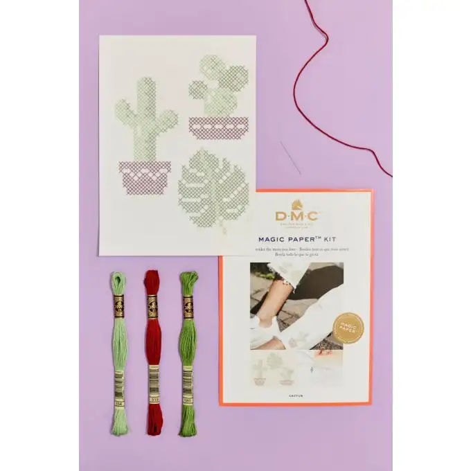 Kit ricamo punto croce fai da te - Cactus