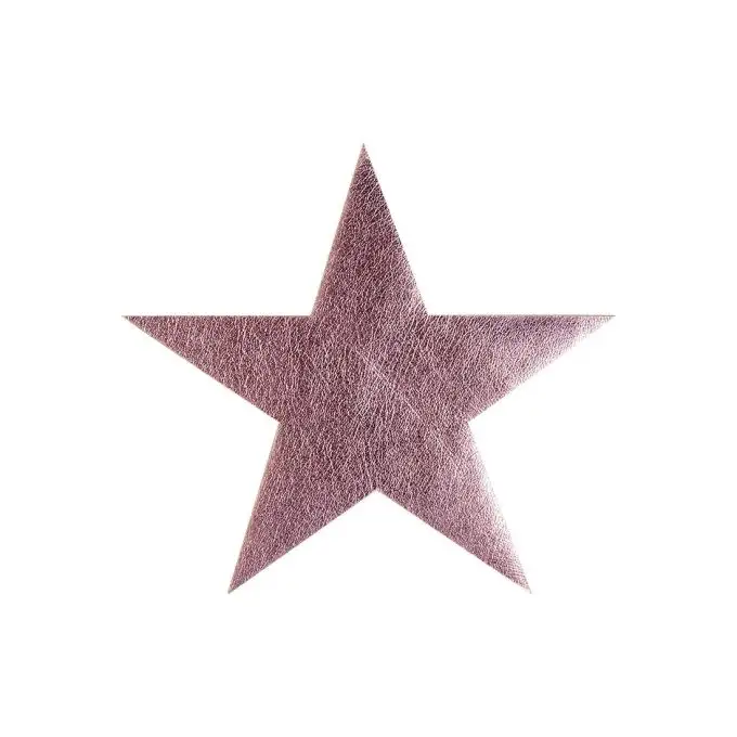 Ecusson termoadesivo similpelle stella rosa