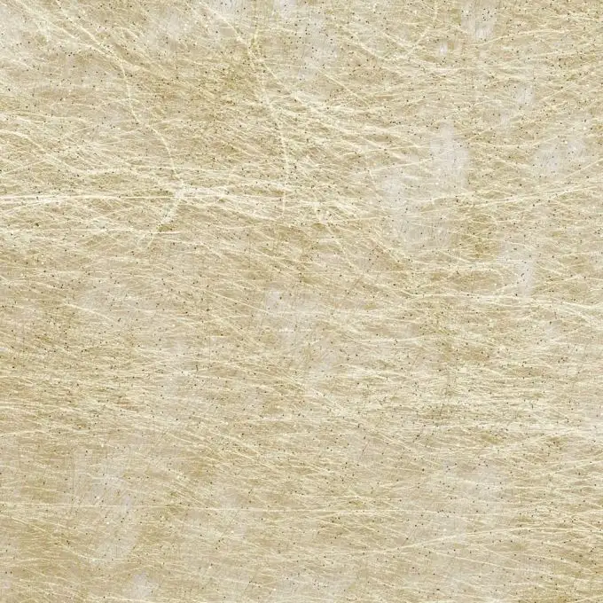 Non tessuto o glitter