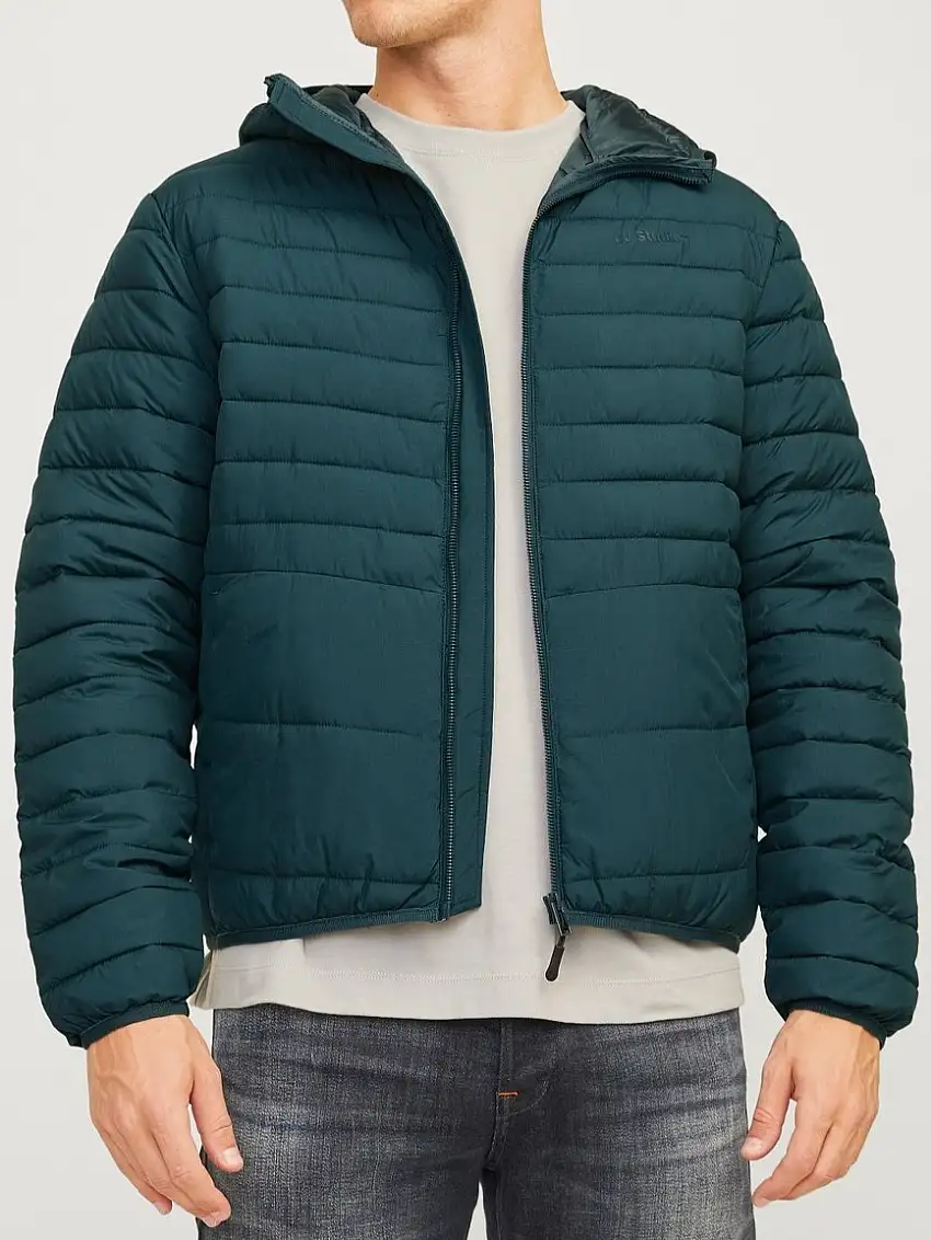 12256983/Magical Forest