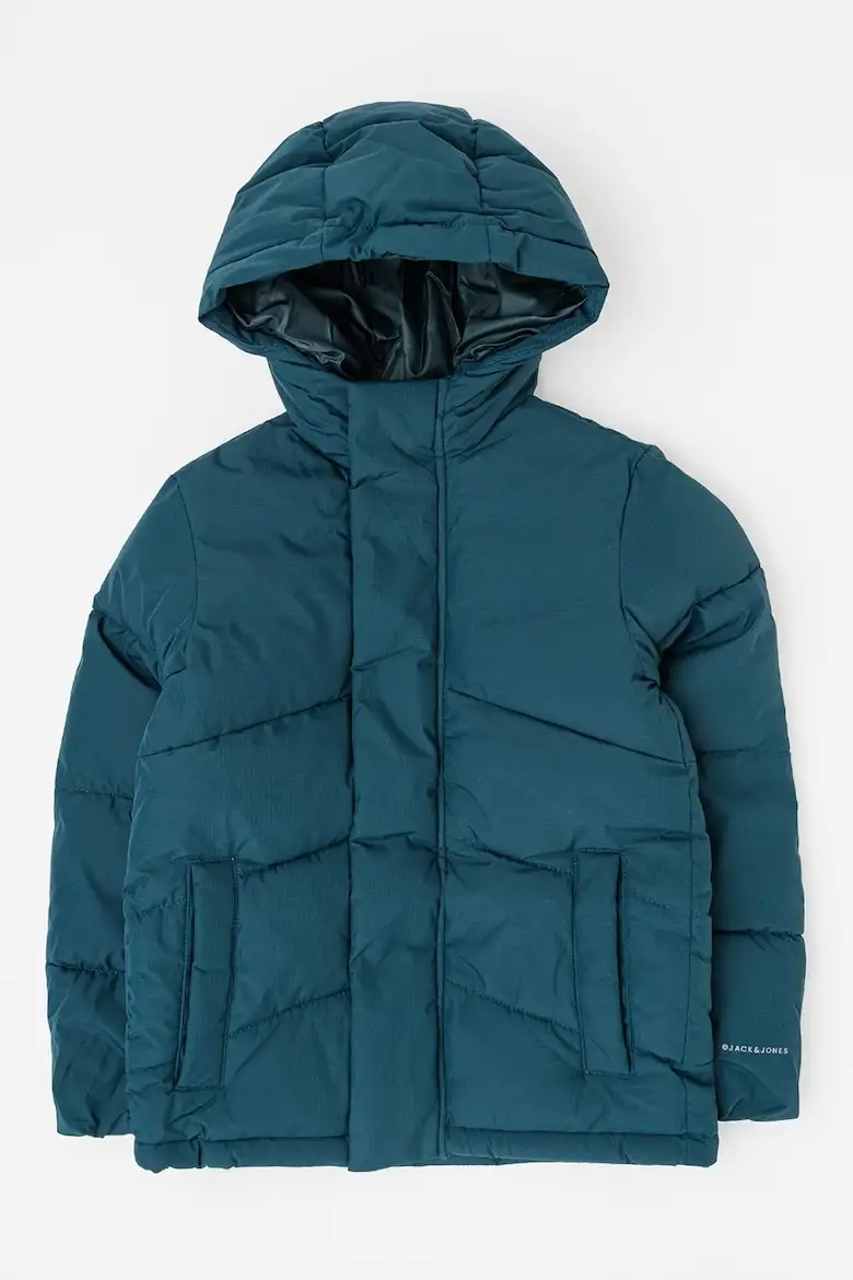 12260052/Magical Forest