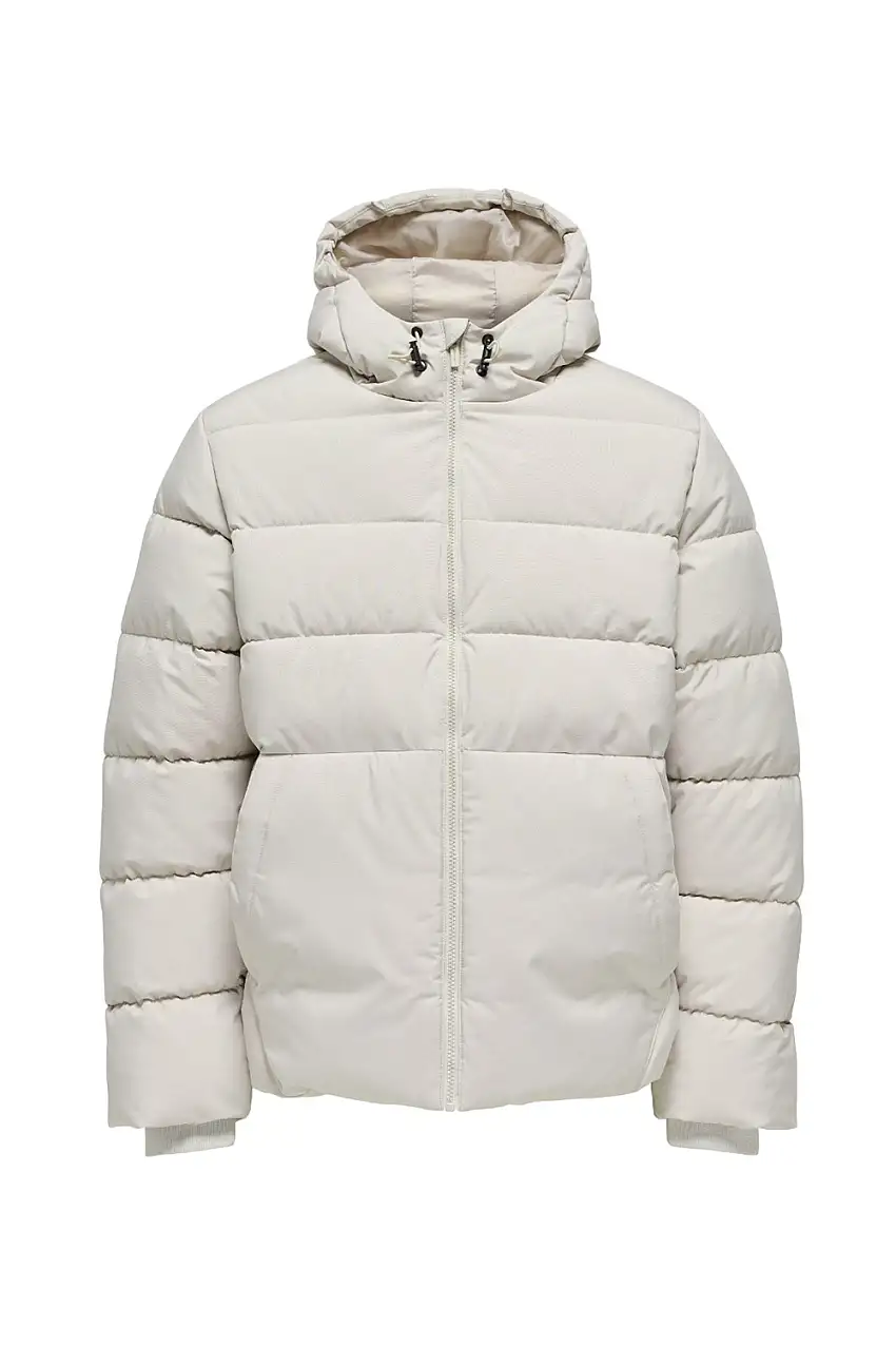 22030170/Silver Lining