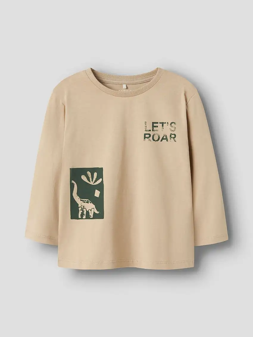 13246596/Island Fossil