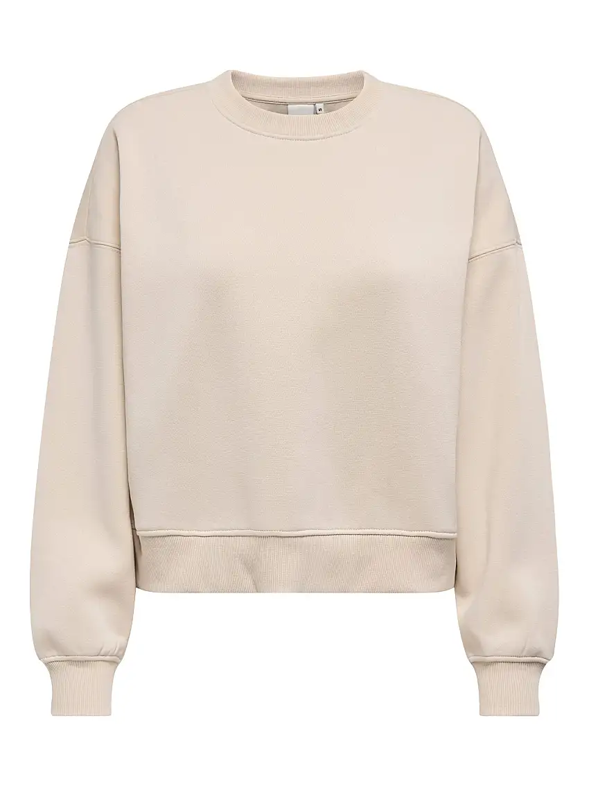 15338727/Pumice Stone