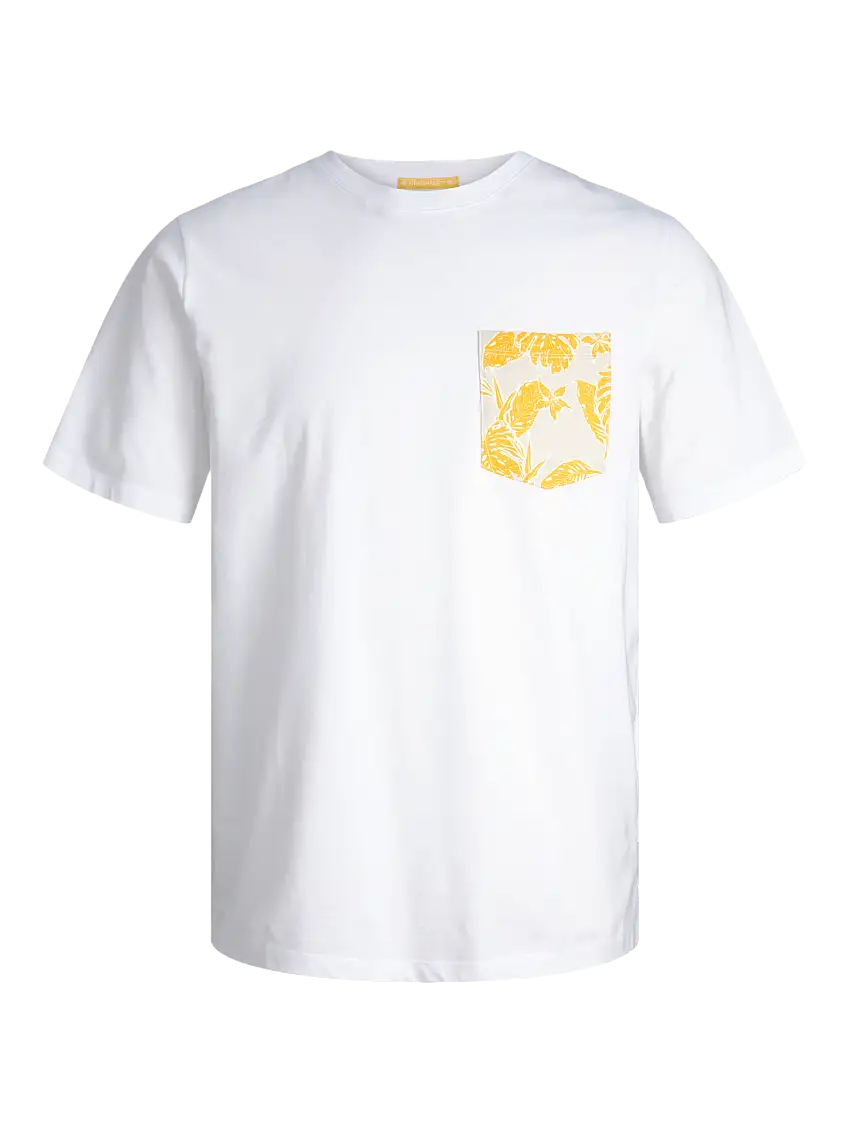 12255388/Bright White