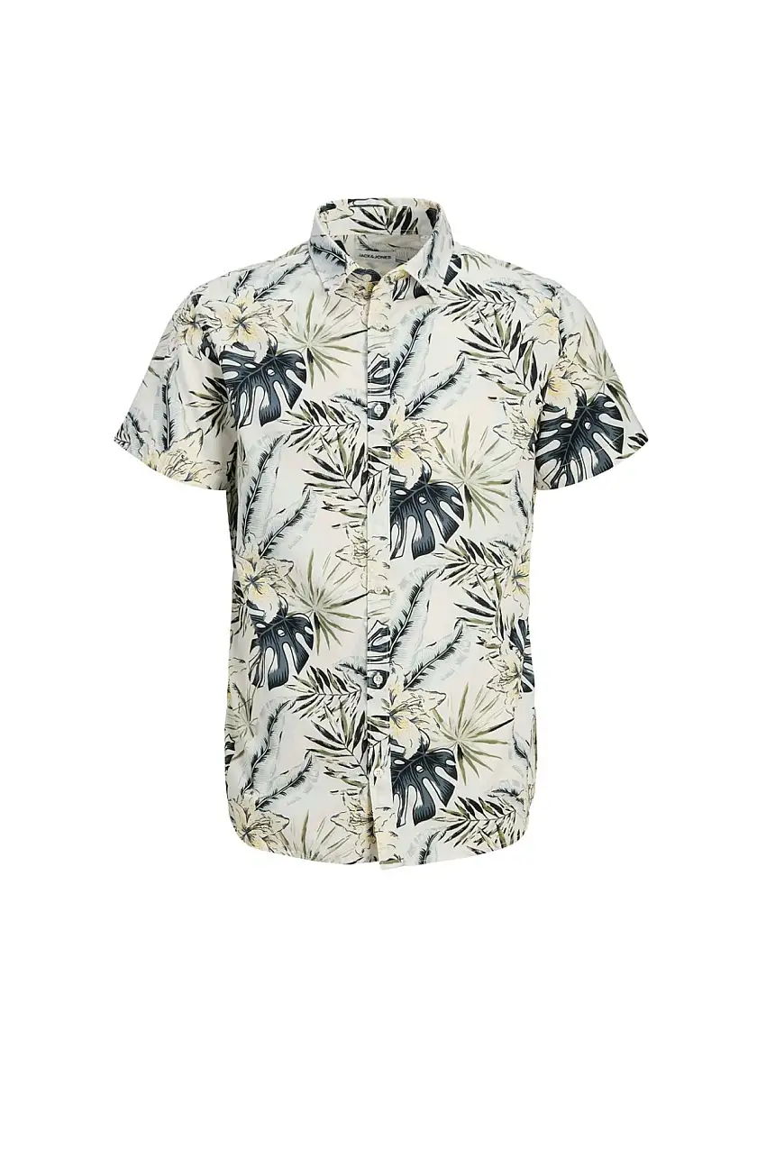 12269137/Cloud Dancer