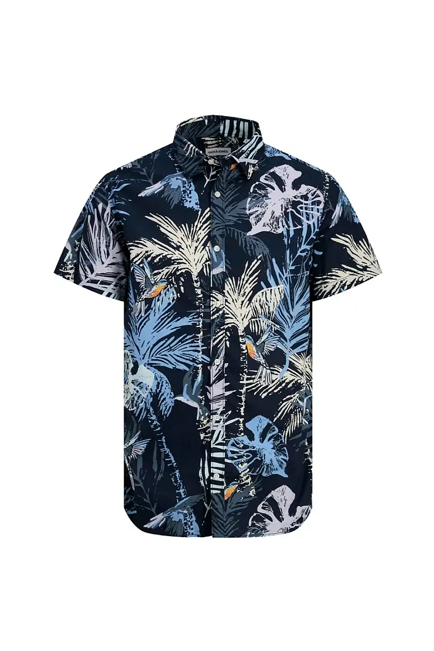 12269137/Sky Captain