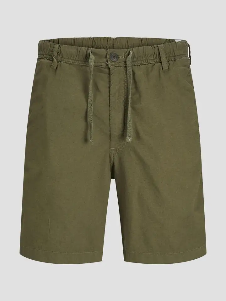 12275023/Olive Night