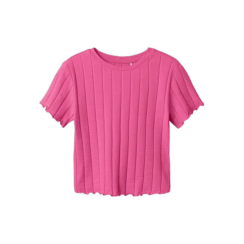 13231024/Carmine Rose