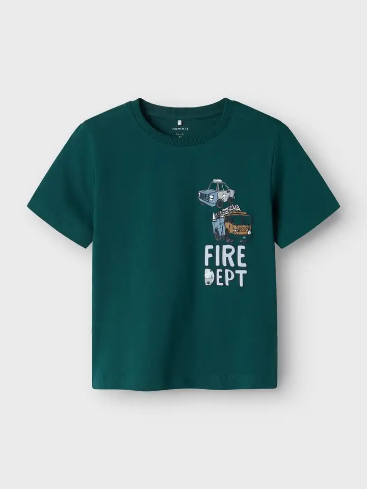 13241059/Forest Biome