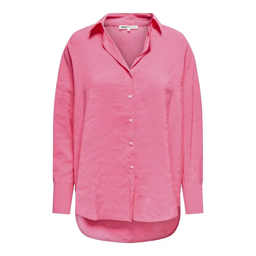 15272523/Pink Carnation