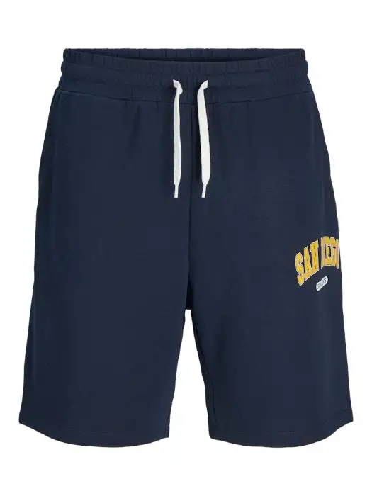 12270193/Sky Captain