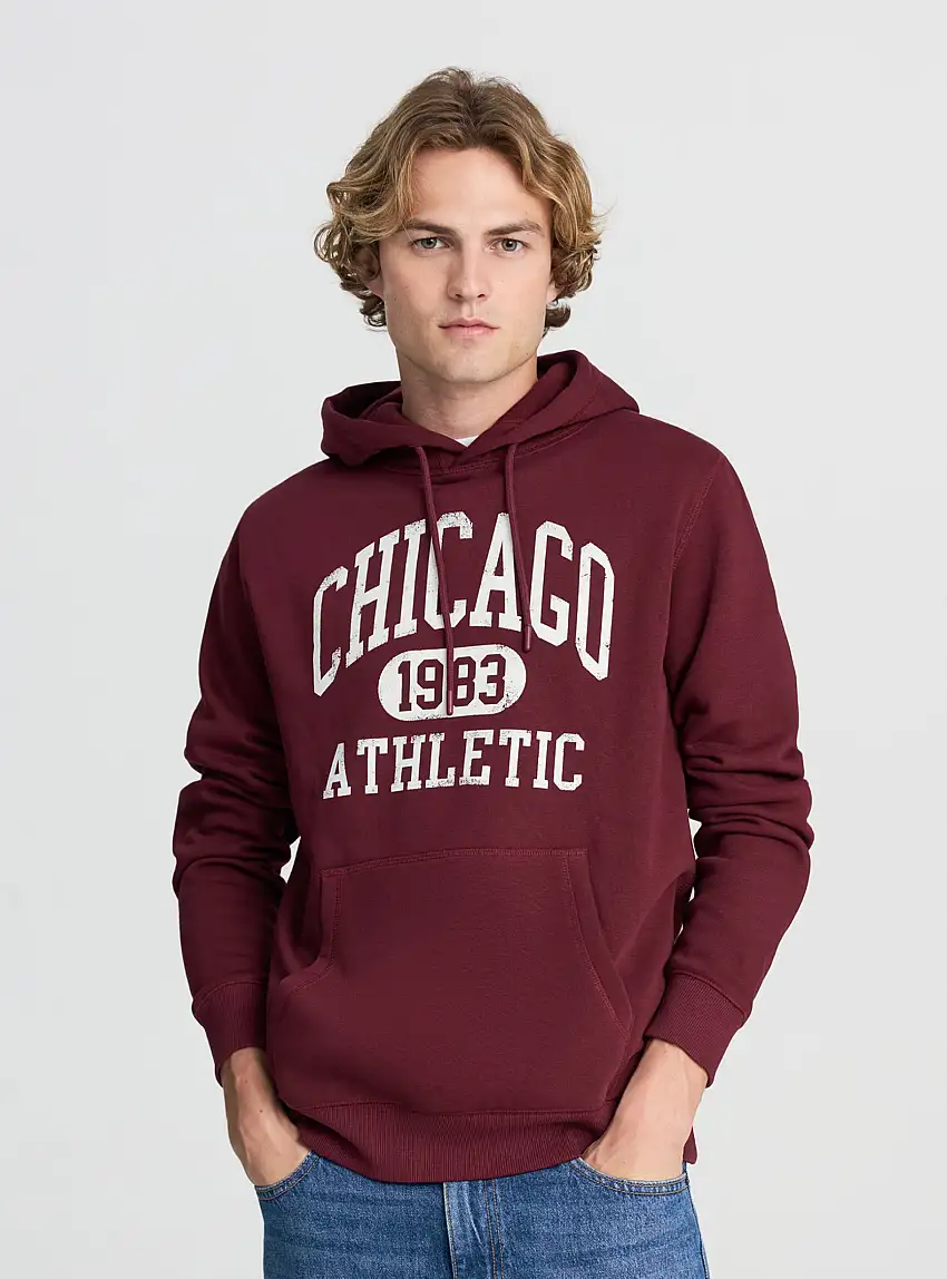 Felpa con cappuccio e stampa college Bordeaux