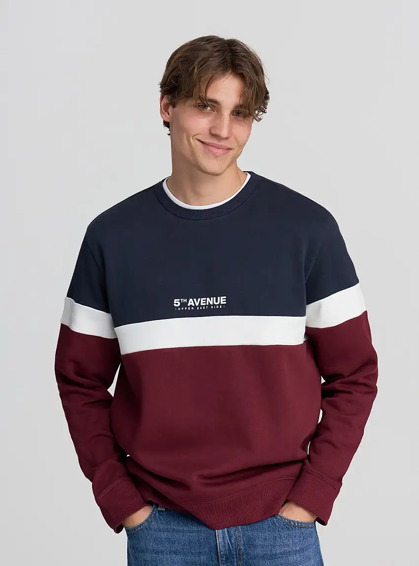 Felpa con stampa frontale e blocchi di colore Var bordeaux