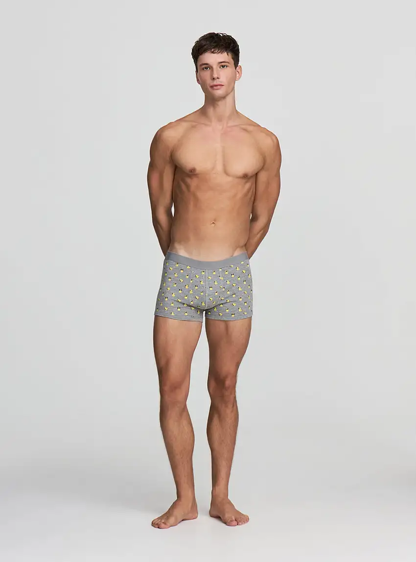 Boxer con fantasia paperelle Grigio chiaro melange