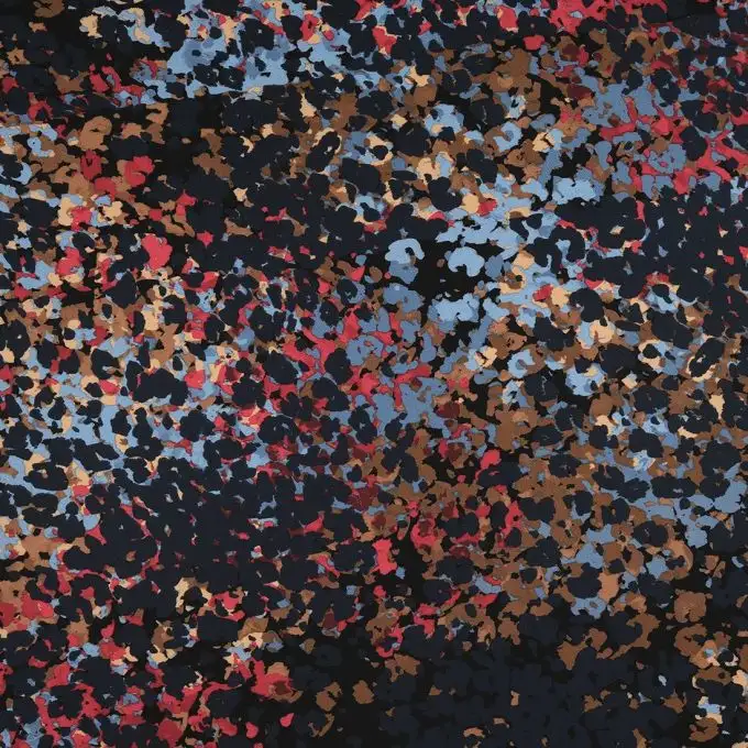 Tessuto crepe con fiori colorati