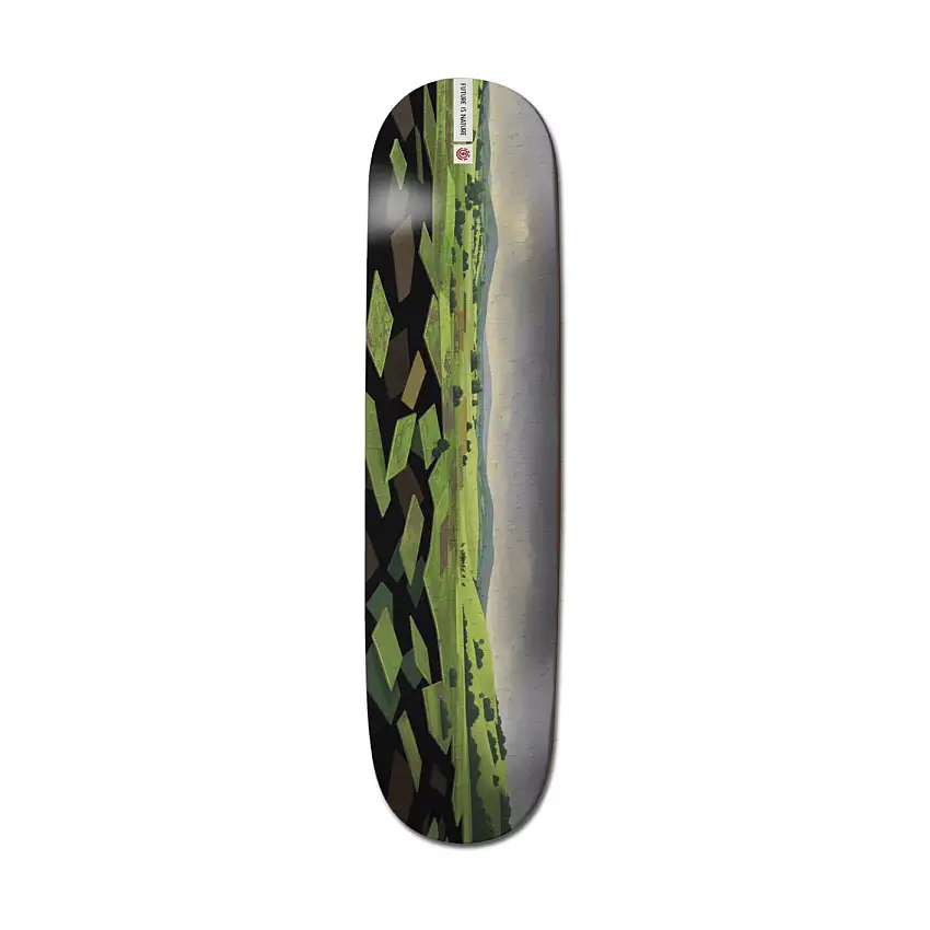 Skateboard per bambini Element Landscape EU
