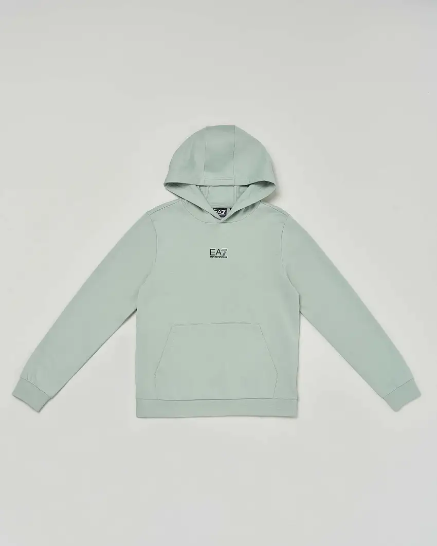 Felpa color salvia con cappuccio e mini logo stampato