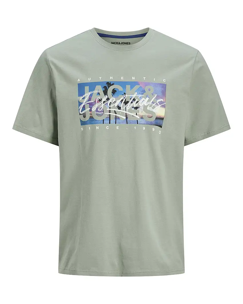 T-shirt verde salvia in jersey di puro cotone con stampa fotografica frontale