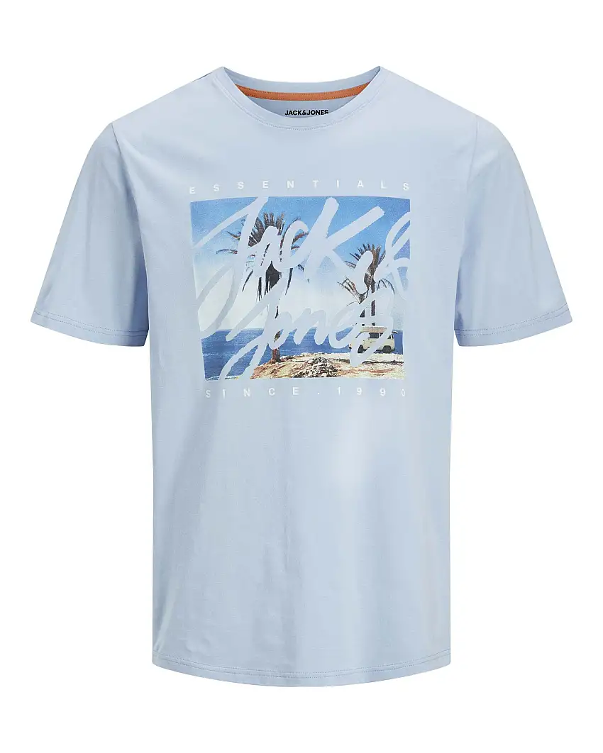 T-shirt azzurra in jersey di puro cotone con stampa fotografica frontale