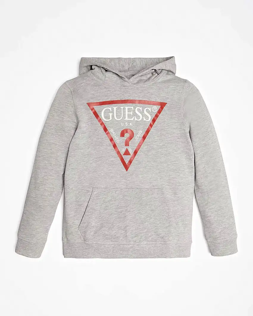 Felpa grigia con cappuccio e logo Icon rosso