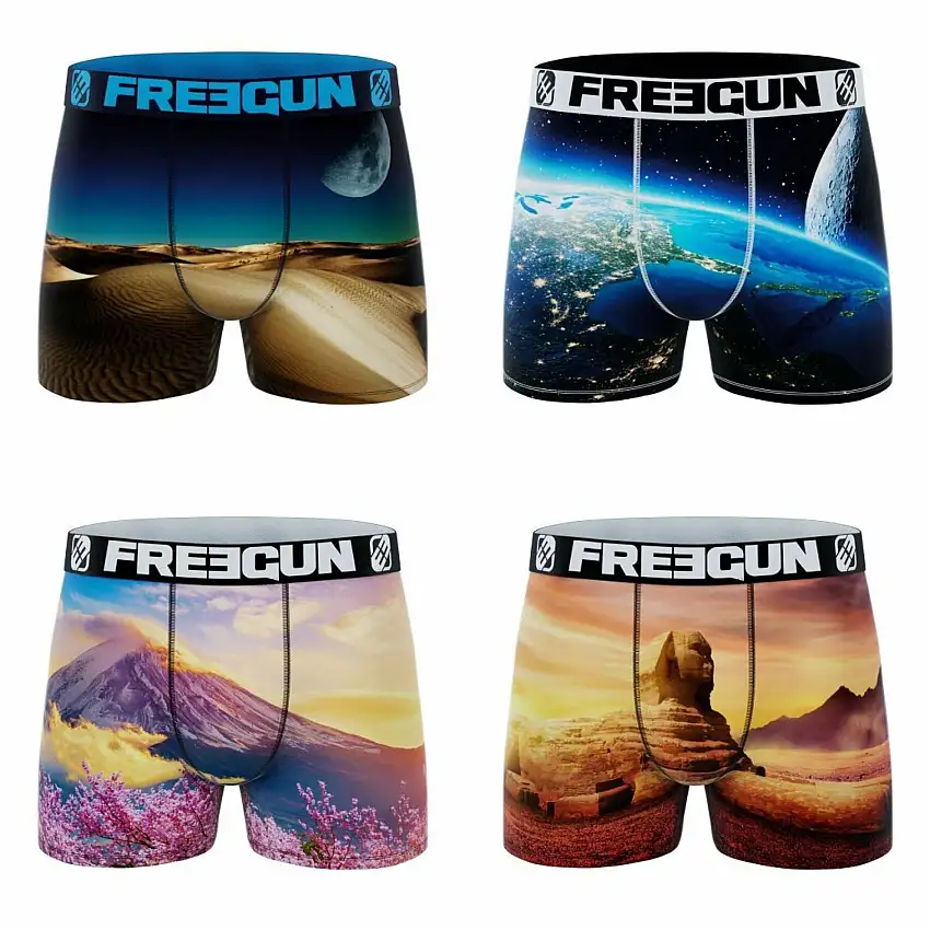 Boxer Freegun Landscape (x4)