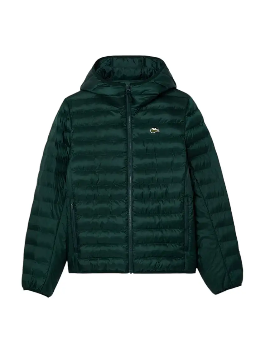 LACOSTE Men's Down Jacket BH2909 YZP Green