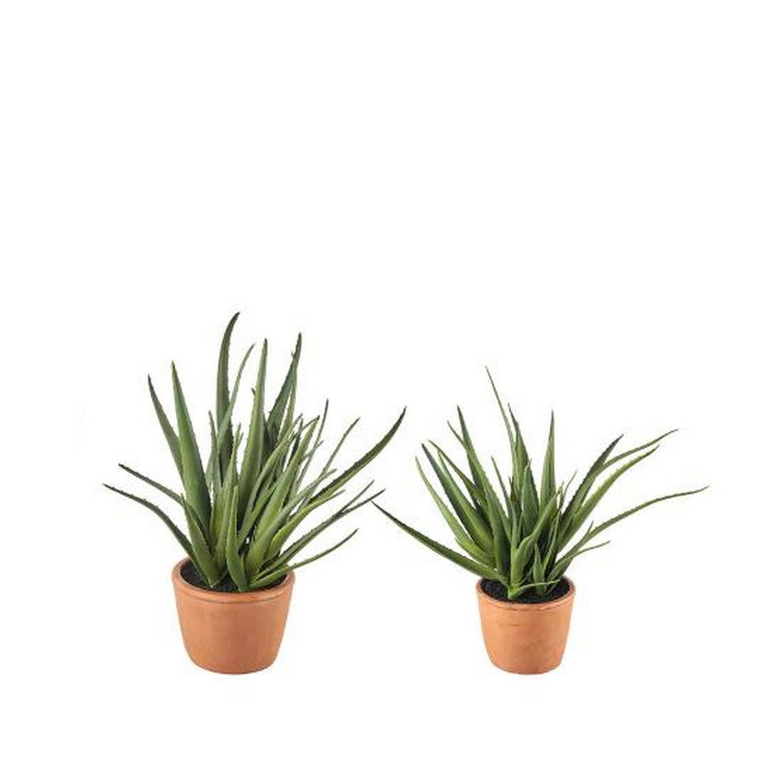 L'Oca Nera Aloe set 2pcs - 1N18