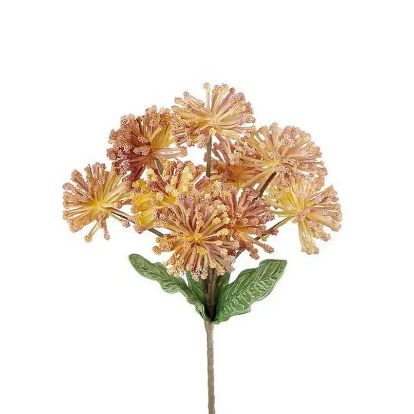 The Black Goose Protea Nutan yellow - 1P196