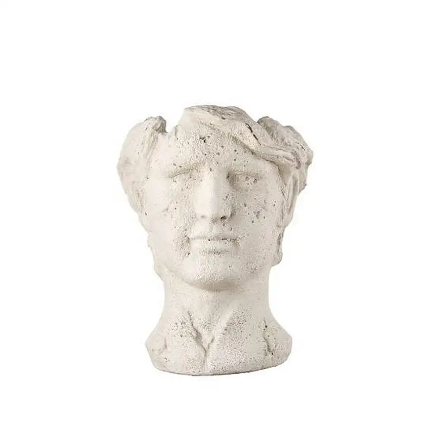 The Black Goose Man Head Sculpture Vase - 1M209