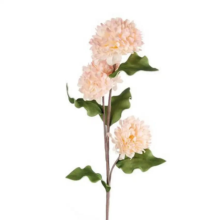 The Black Goose Light Pink Dahlia - 1P207