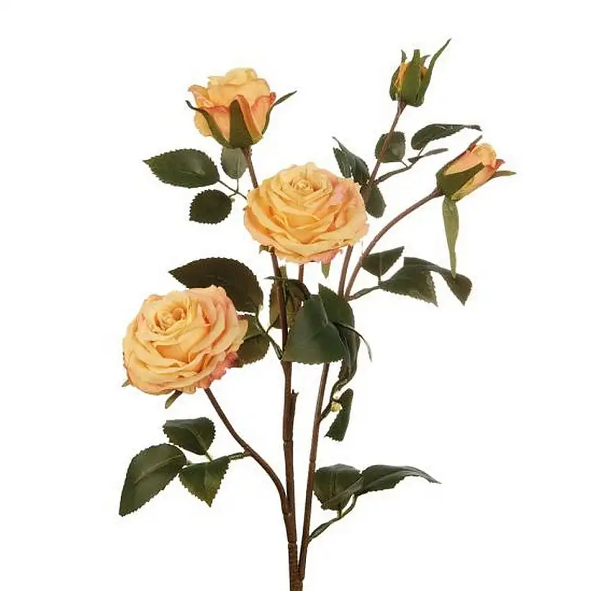 The Black Goose Yellow Roses - 1P237