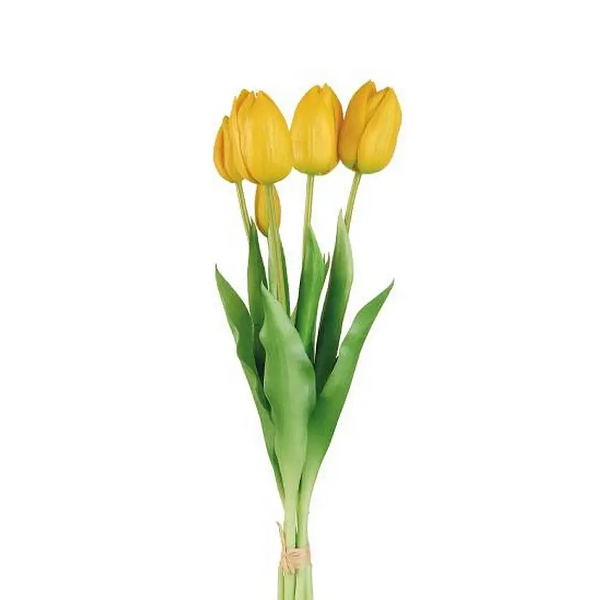 The Black Goose Yellow Tulips - 1P227