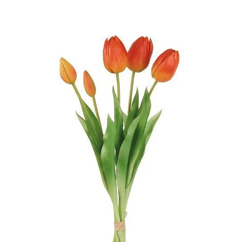 The Black Goose Orange Tulips - 1P228