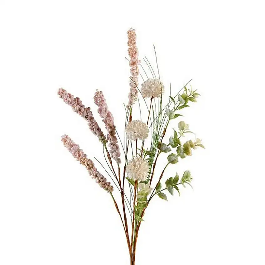 The Black Goose Astilbe - 1P214