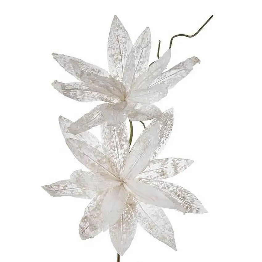 The Black Goose Magnolia purple white - 1P183