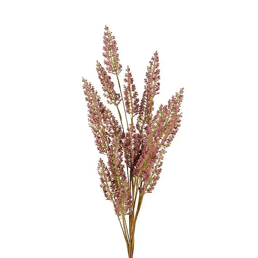 The Black Goose Erica - 1P246