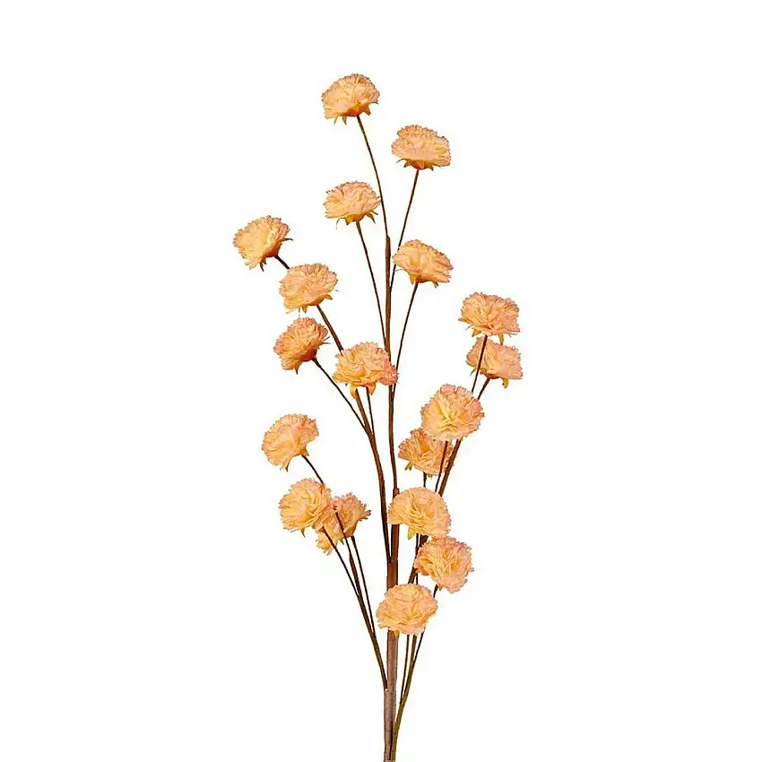 The Black Goose Clove Branch - 1P250