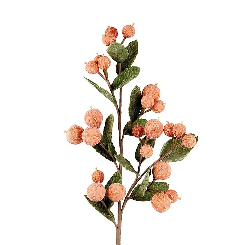 The Black Goose Balausta - 1P260