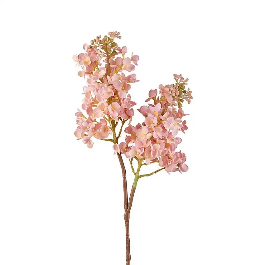 The Black Goose Lilac Pink - 1P275