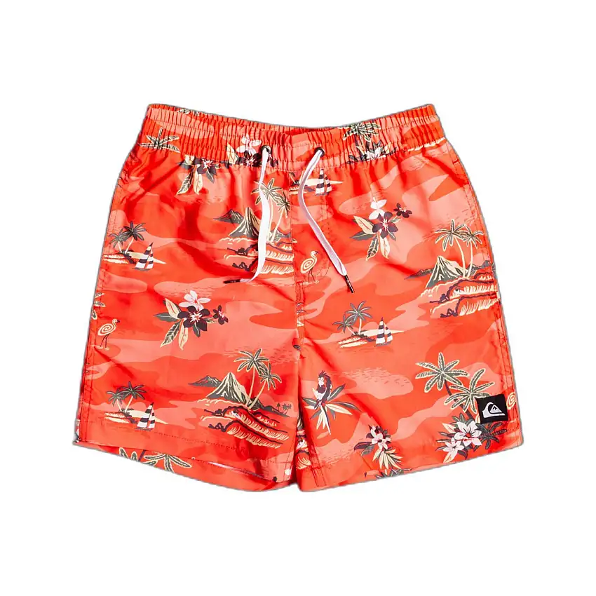 Pantaloncini da bagno per bambini Quiksilver Everyday Scenic Volley