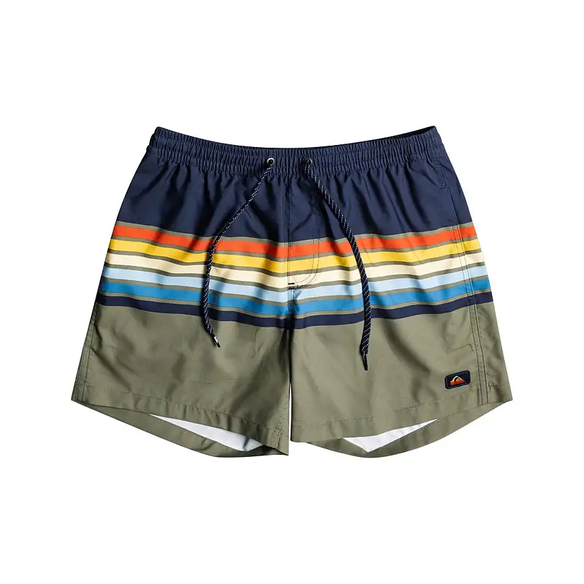 Pantaloncini da bagno Quiksilver Everyday Swell Vision Vl